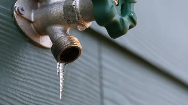 Best Drain Cleaning Services  in Hoschton, GA